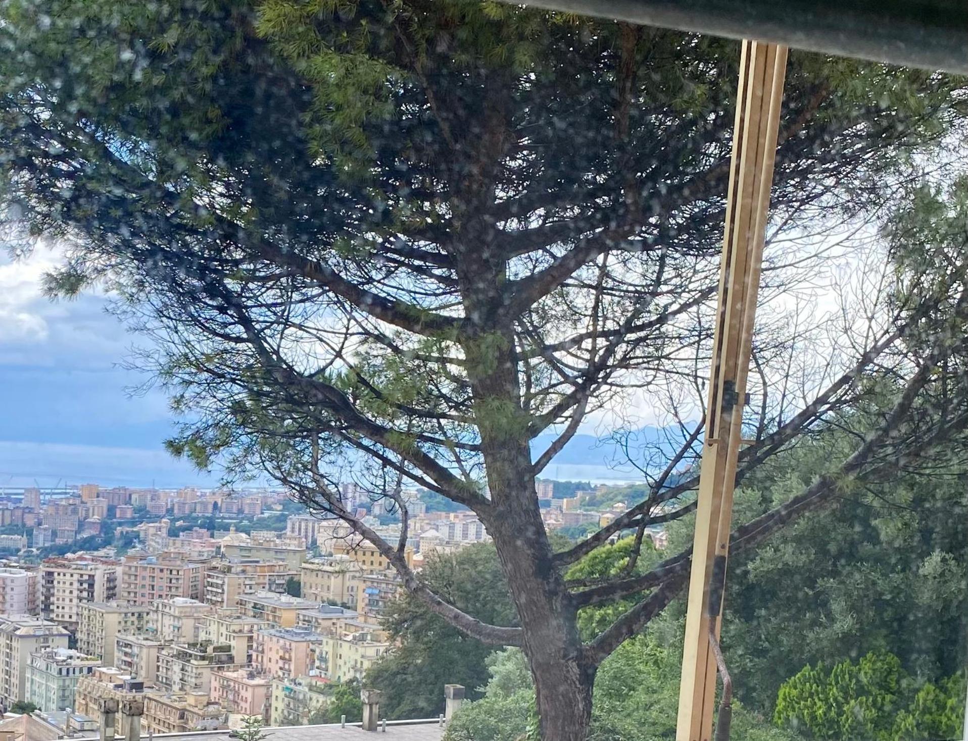 Appartamento Genoa View & Hiking In Italian Riviera Esterno foto